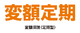 変額定期