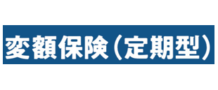 変額保険(定期型)